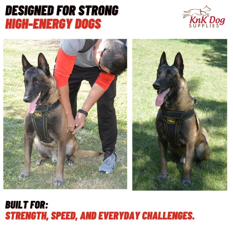 KNK, Heavy Duty Dog Harness for Pitbulls, Bullies & Large Breeds â€“ No Pull, Ultra Durable, Soft Padded Chest, Metal Leash Attachment - Image 4
